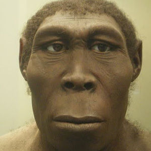 Meet your Posher, Ty